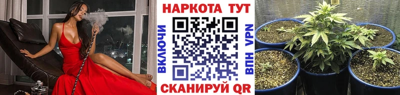 Какие есть наркотики Аткарск ТГК АМФЕТАМИН A PVP Меф мяу мяу Конопля Гашиш