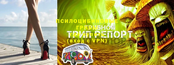 бошки Алзамай
