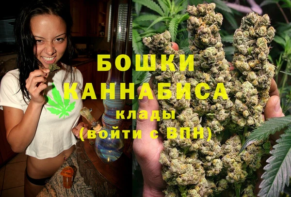 бошки Алзамай